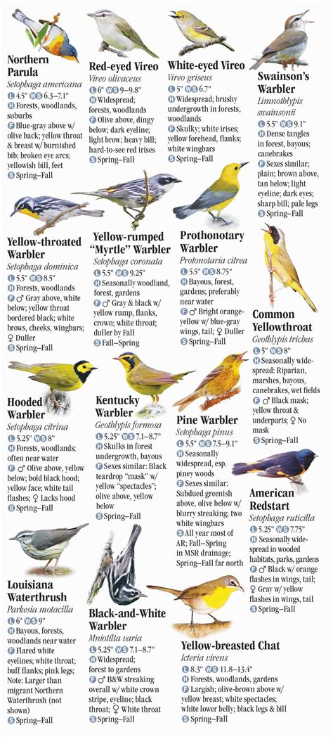 Birds of Arkansas – Quick Reference Publishing Retail