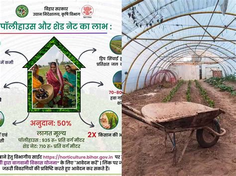 bihar govt giving subsidy on polyhouse and shade net to farmers | ब ...