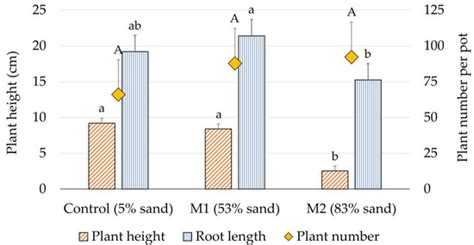 Common Tansy (Tanacetum vulgare L.) Growth on Sandy Soil—Insights from ...