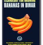 Publication – Dr. Rajendra Prasad Central Agricultural University