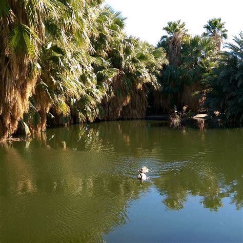 Holtville Hot Spring - Lohnt es sich? Aktuell für 2024 (Mit fotos)