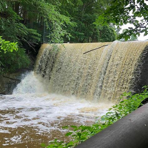 Tymor Park Loop - New York | AllTrails