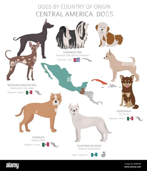 What Is An All American Dog Breed