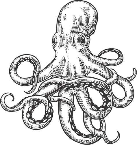 EW Designs Simple Retro Vintage Octopus Sketch | Ubuy India