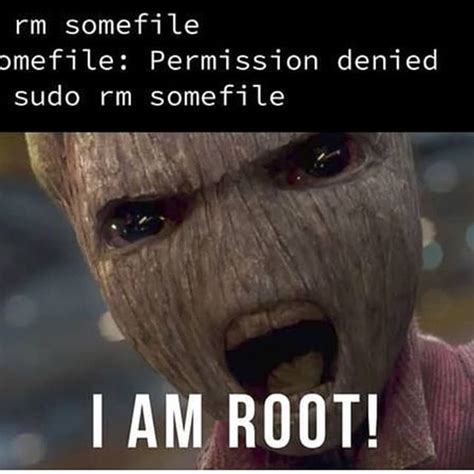 Image result for Linux Root Meme