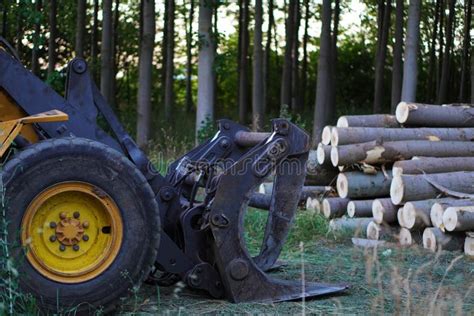 Image result for Felling Machine