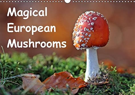 Buy Magical European Mushrooms 2018: Eleven Different Species of ...
