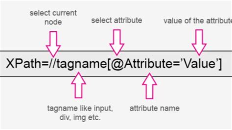 Image result for XPath Basic