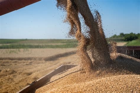 Image result for Powder Flowability