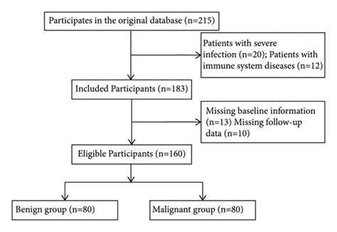 Image result for Collection Selection Data Process