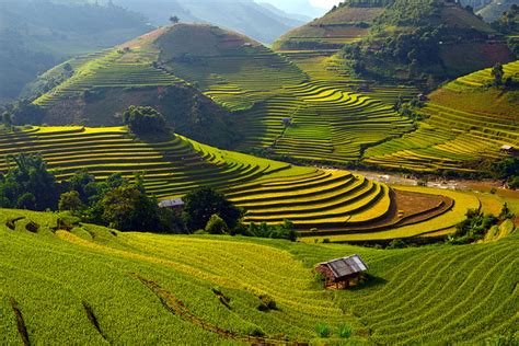 Mu Cang Chai Terraced Rice Fields in Northwest Vietnam