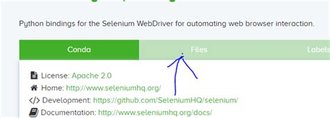 Python Interpreter Offline 的图像结果