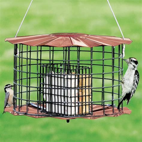 Copper Squirrel Proof Suet Feeder – Duncraft