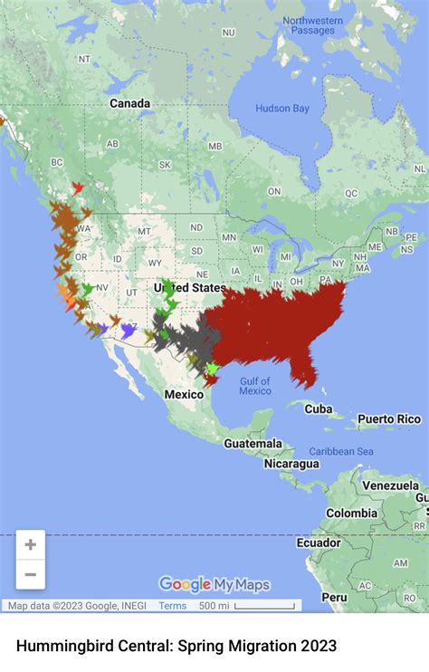 Image result for Hummingbird Tracking Map