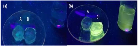 Fluorescent Molecular Logic Gates and Pourbaix Sensors in ...