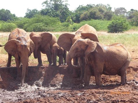 KENYAN HORIZONS - All You Need to Know BEFORE You Go 2026 (with Photos ...