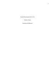 Image result for System Development Life Cycle Documentation Example.pdf