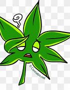 Image result for Bunny Tea Cannabis