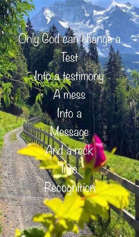 Image result for Spring Season Reflection