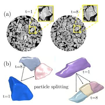 Indo-Swedish joint network project