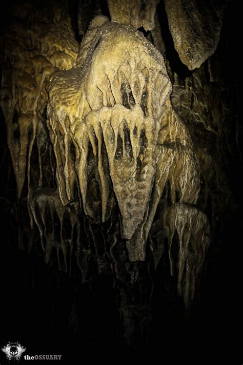 Image result for Kickapoo Cavern State Park Kickapoo Cavern Tours