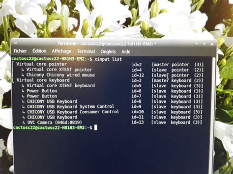 Image result for Xinput File List