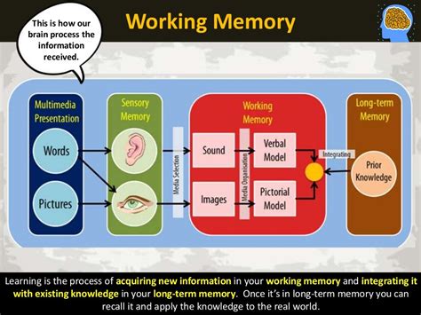 Image result for Working Memory Made Simple