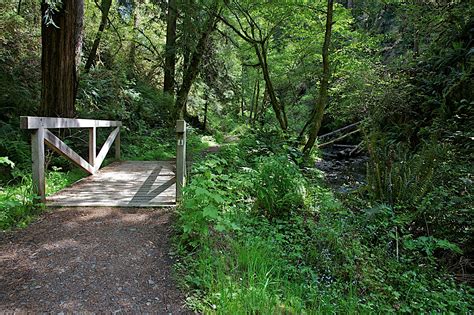 Voyagers: Van Damme State Park