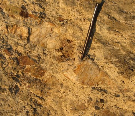 The Mining and Exploration News in Mexico: Highlights on the Fifth Week of August, 2024 ...
