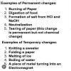 List five differences between tamporary change and parmanent change ...