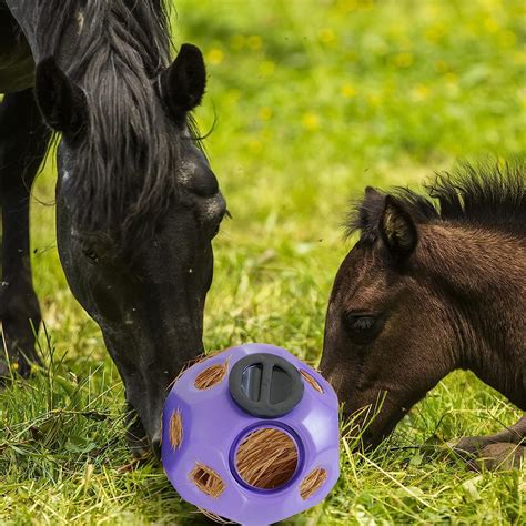 Buy shamjina Horse Treat Ball Hay Feeding Toy Hay Feeder Ball for Horse ...