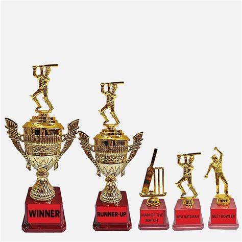 BAREEZE PURE Sports Trophy for Cricket Tournament, Trophy for Winner ...
