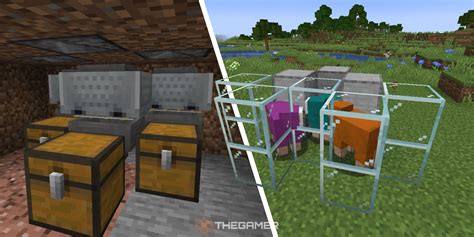 Image result for How to Make a Minecraft Java Wool Farm