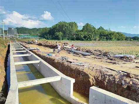 肇庆推进高标准农田建设 巩固提高粮食生产能力_南方plus_南方+