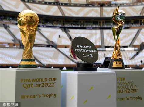 大力神杯图片 的图像结果