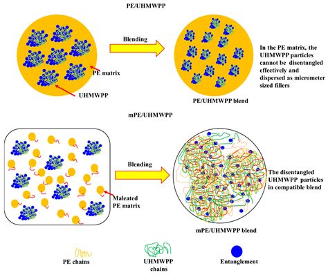 On the Mechanical, Thermal, and Rheological Properties of Polyethylene ...