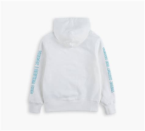 Little Boys 4-7x Levi's® X Star Wars Graphic Pullover Hoodie - White ...