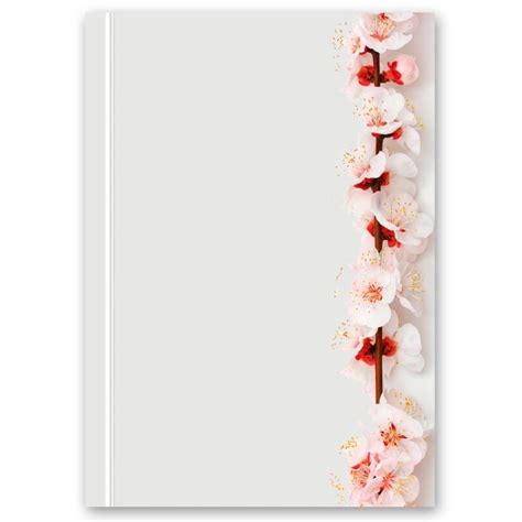 Stationery motif-paper sets Flowers & Petals Cherry Blossoms Statione