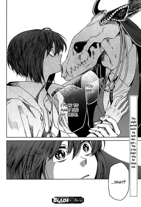 Image result for Ancient Magus Bride Anime Characters