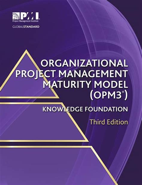 Image result for Project Manager Competency Framework