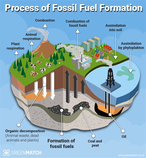 Image result for How Do Fossil Fuels Work