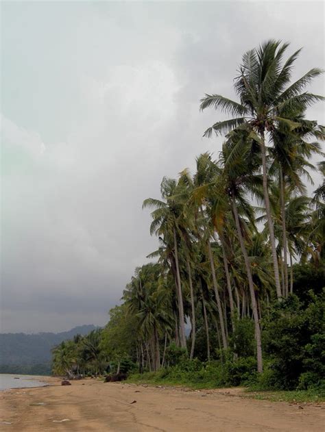 THE BEST Beach Resorts in Kinarut (with Prices) - Tripadvisor