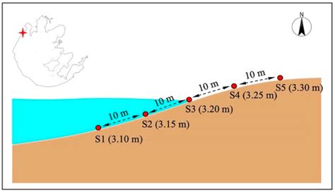 Enhanced Sediment Denitrification for Nitrogen Removal by Manipulating ...