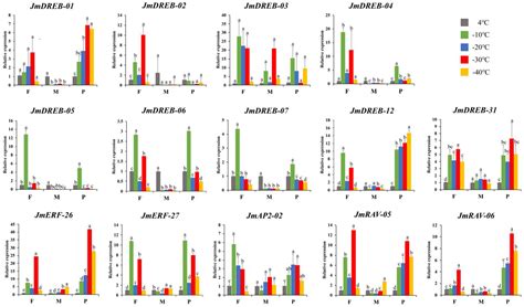 Genome-Wide Identification of AP2/ERF Superfamily Genes in Juglans ...
