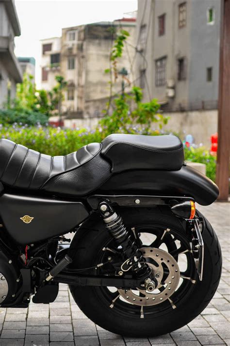 Iron 883 Python Slip-On 的图像结果