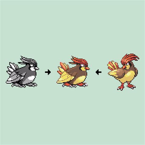 Image result for pidgeotto evolution pixelmon