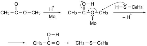 Catalytic Reactions over Halide Cluster Complexes of Group 5–7 Metals