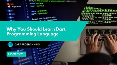 Image result for Dart Programming Tutorials