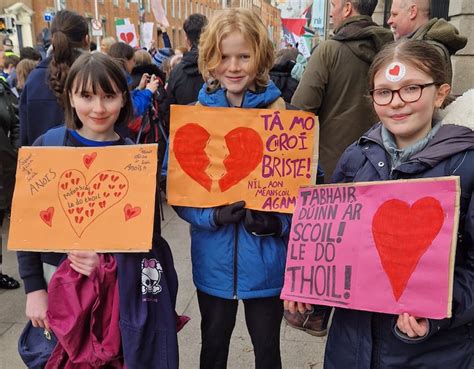 Protest at Dáil gates for Synge Street Gaelcholáiste – The Irish Times