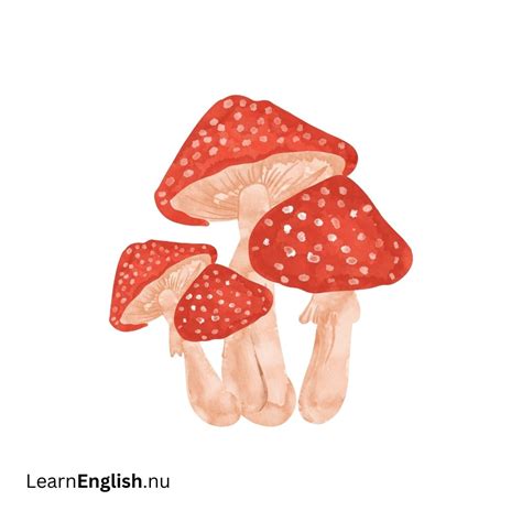 Nature Vocabulary in French - learn french